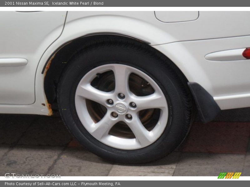 Icelandic White Pearl / Blond 2001 Nissan Maxima SE