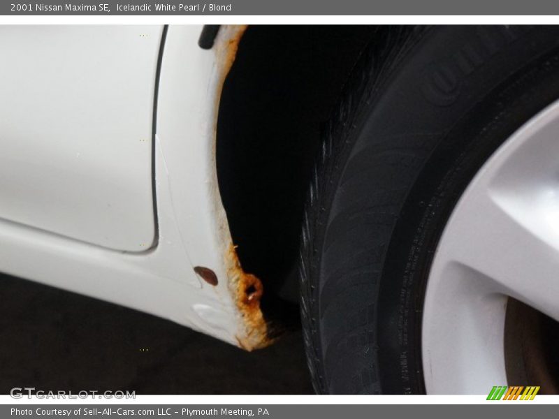 Icelandic White Pearl / Blond 2001 Nissan Maxima SE