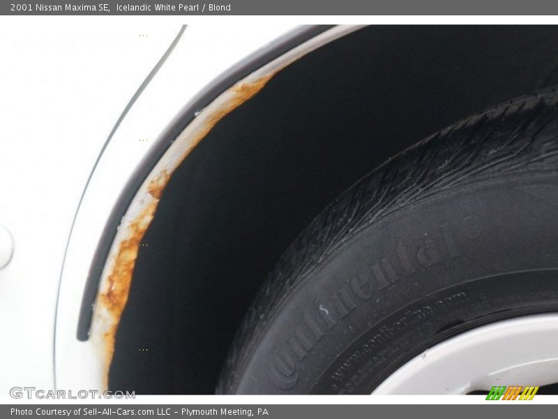 Icelandic White Pearl / Blond 2001 Nissan Maxima SE