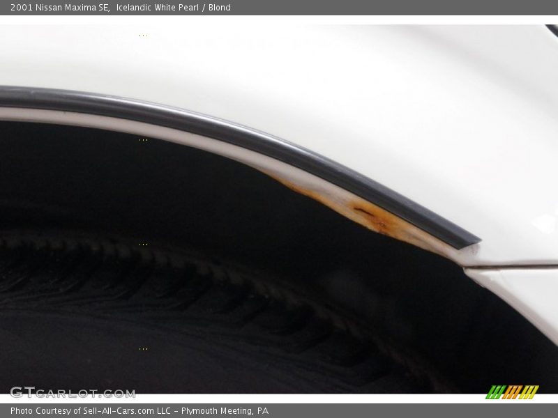 Icelandic White Pearl / Blond 2001 Nissan Maxima SE