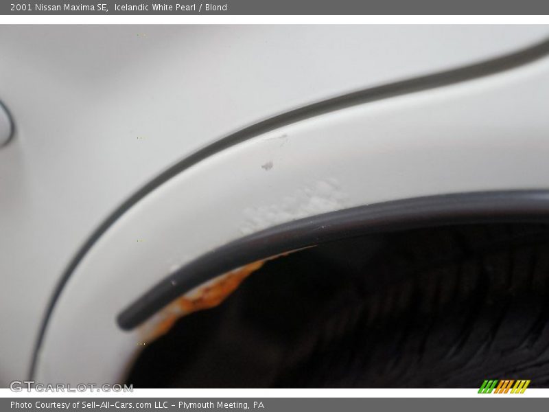 Icelandic White Pearl / Blond 2001 Nissan Maxima SE
