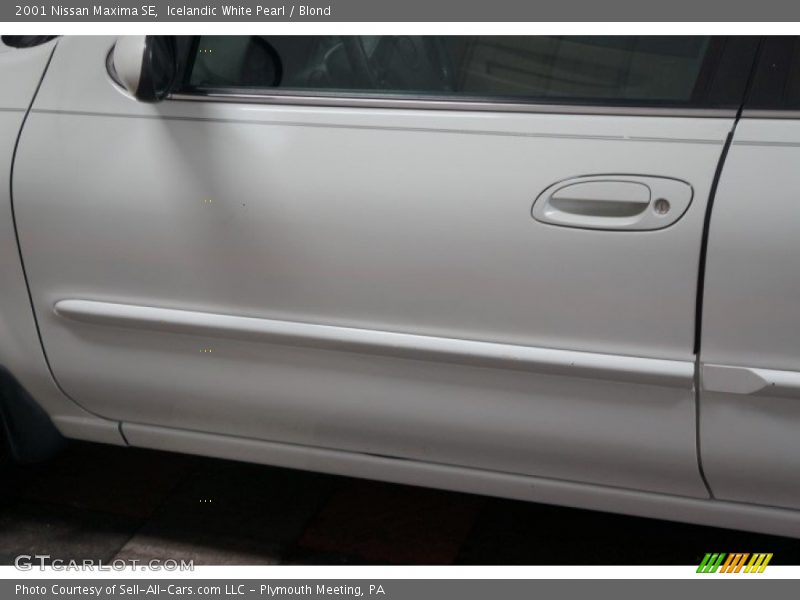 Icelandic White Pearl / Blond 2001 Nissan Maxima SE