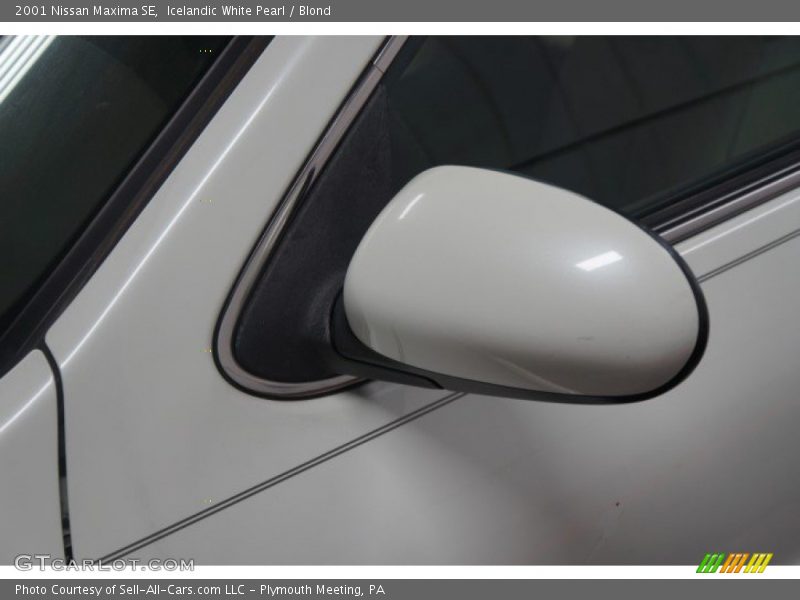 Icelandic White Pearl / Blond 2001 Nissan Maxima SE