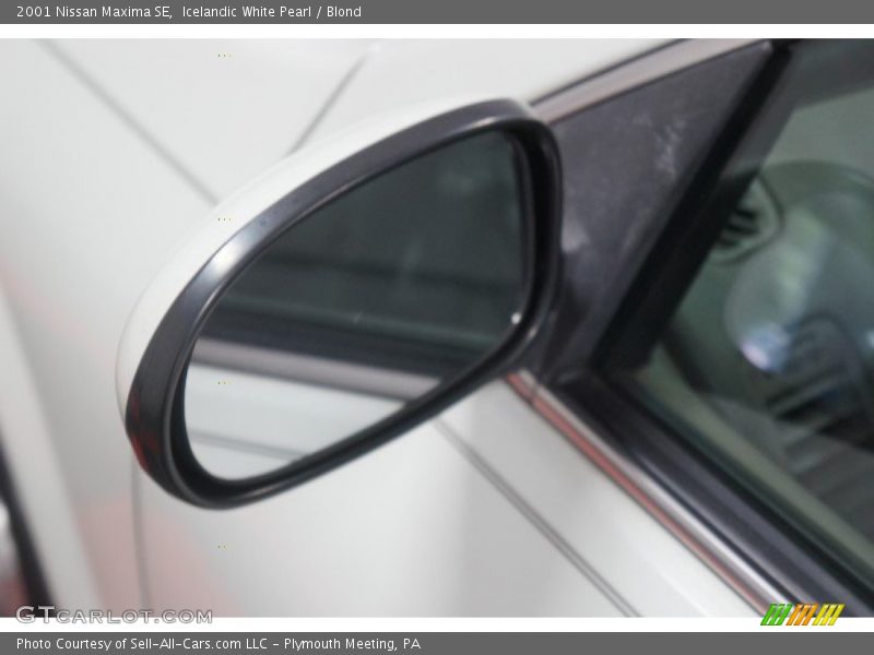 Icelandic White Pearl / Blond 2001 Nissan Maxima SE