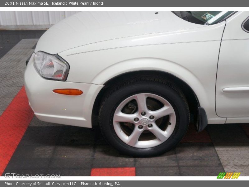Icelandic White Pearl / Blond 2001 Nissan Maxima SE