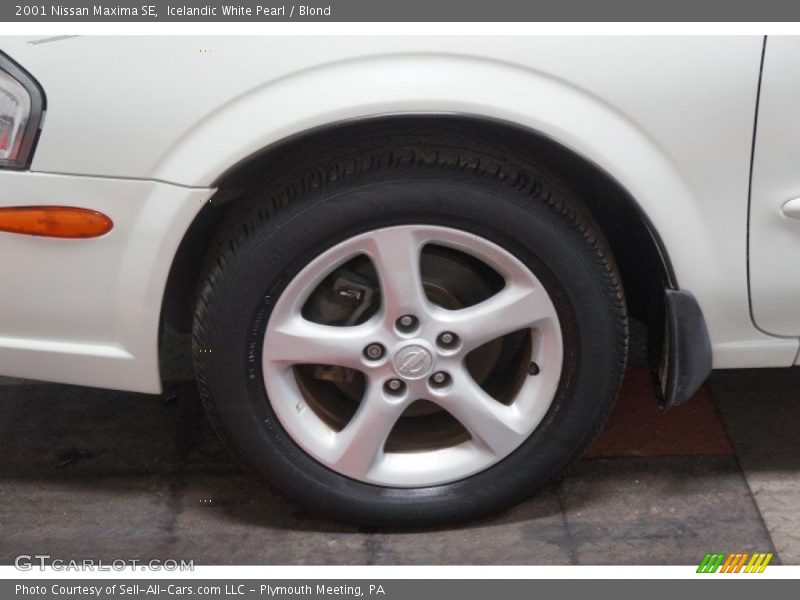 Icelandic White Pearl / Blond 2001 Nissan Maxima SE