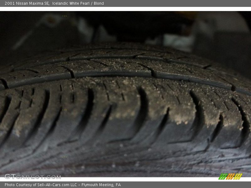 Icelandic White Pearl / Blond 2001 Nissan Maxima SE