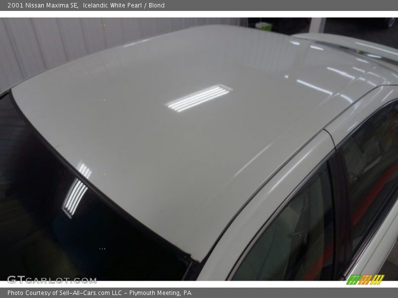 Icelandic White Pearl / Blond 2001 Nissan Maxima SE