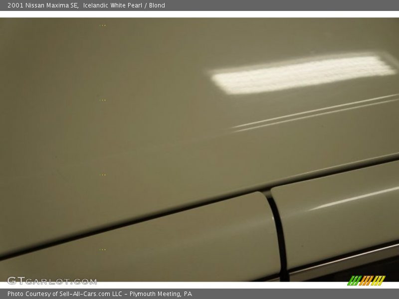 Icelandic White Pearl / Blond 2001 Nissan Maxima SE
