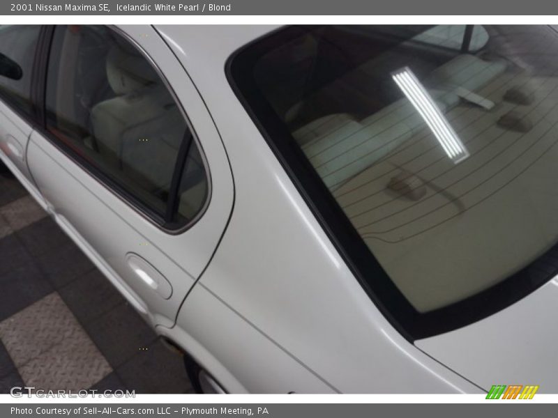 Icelandic White Pearl / Blond 2001 Nissan Maxima SE