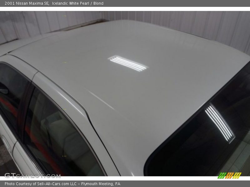 Icelandic White Pearl / Blond 2001 Nissan Maxima SE