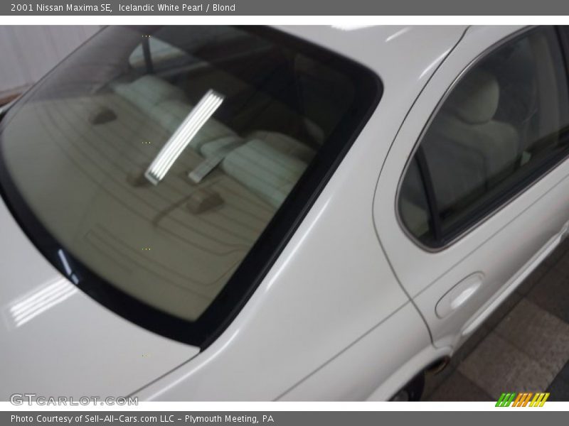Icelandic White Pearl / Blond 2001 Nissan Maxima SE