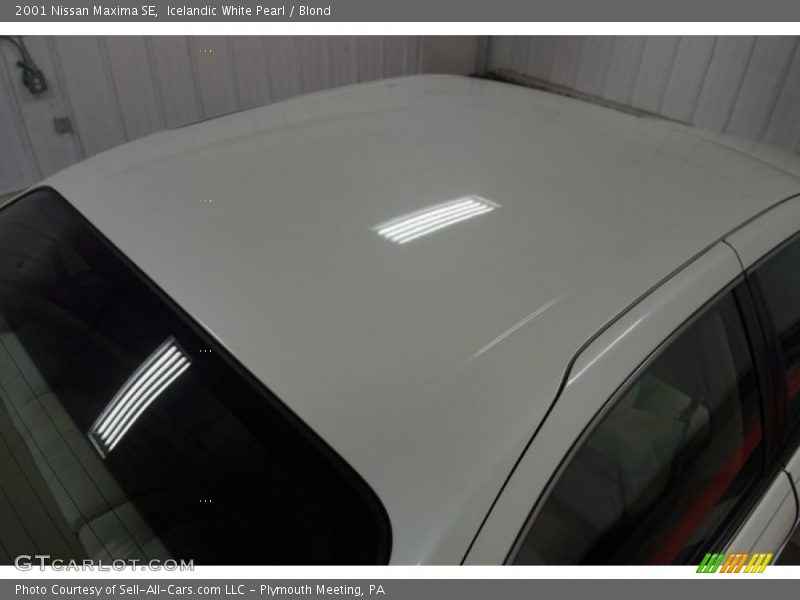 Icelandic White Pearl / Blond 2001 Nissan Maxima SE