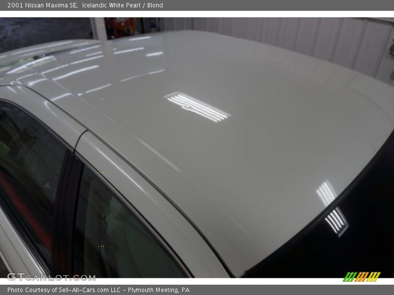Icelandic White Pearl / Blond 2001 Nissan Maxima SE