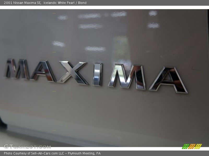 Icelandic White Pearl / Blond 2001 Nissan Maxima SE