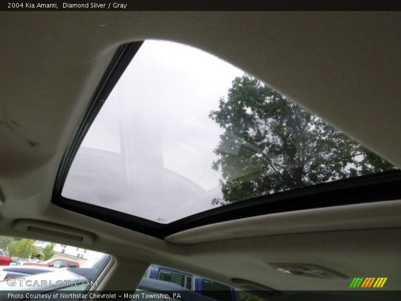 Diamond Silver / Gray 2004 Kia Amanti