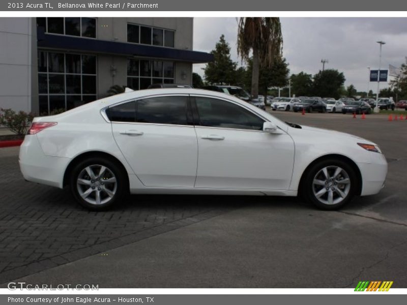 Bellanova White Pearl / Parchment 2013 Acura TL