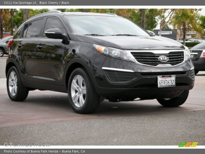 Black Cherry / Black 2011 Kia Sportage LX