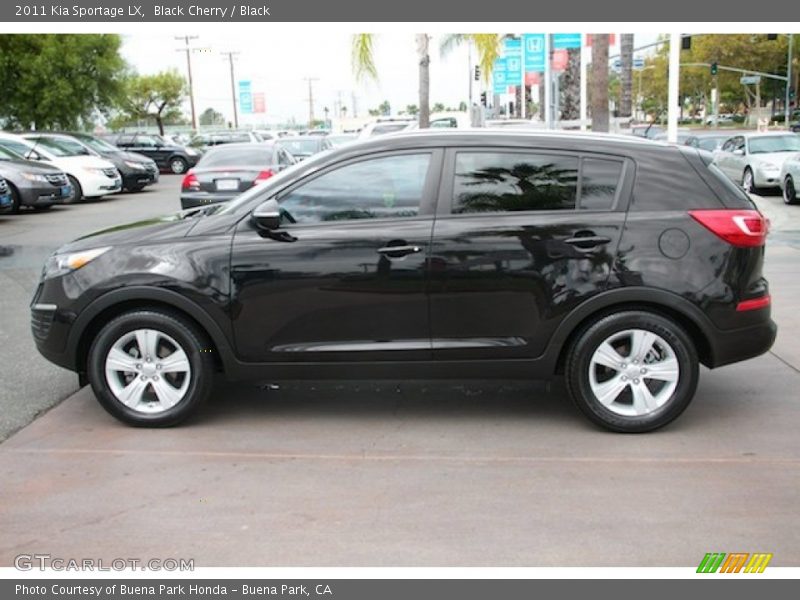 Black Cherry / Black 2011 Kia Sportage LX