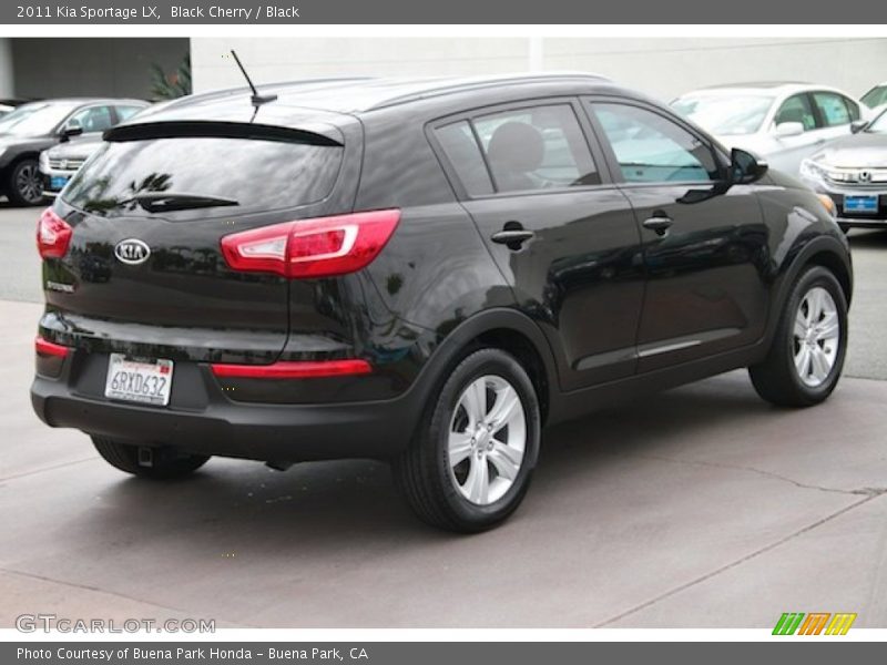 Black Cherry / Black 2011 Kia Sportage LX