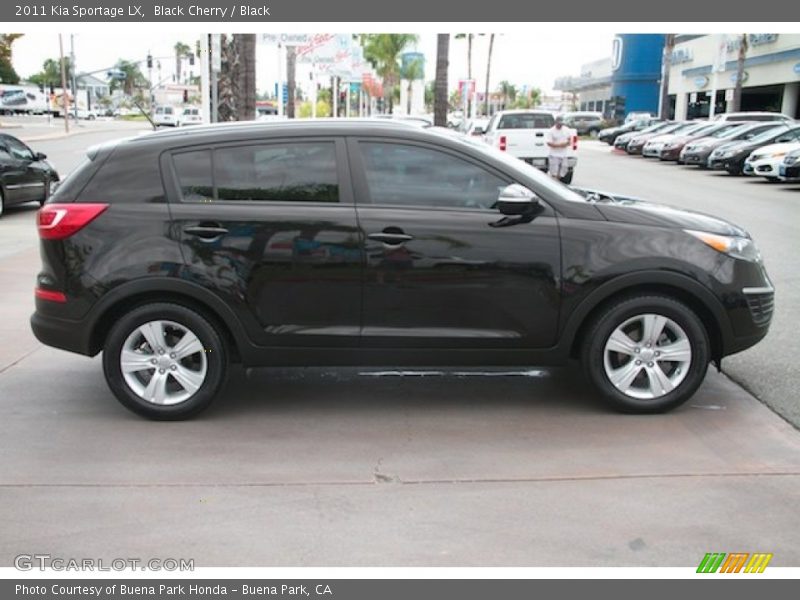 Black Cherry / Black 2011 Kia Sportage LX
