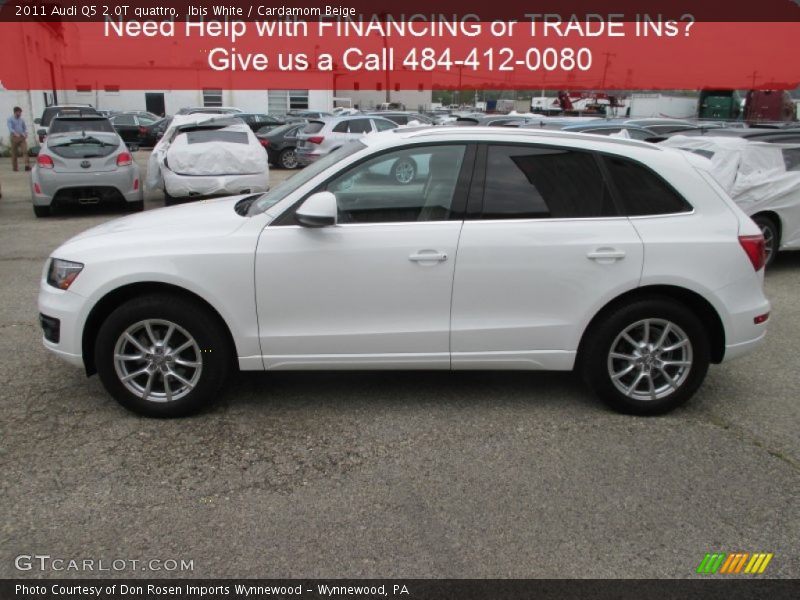Ibis White / Cardamom Beige 2011 Audi Q5 2.0T quattro