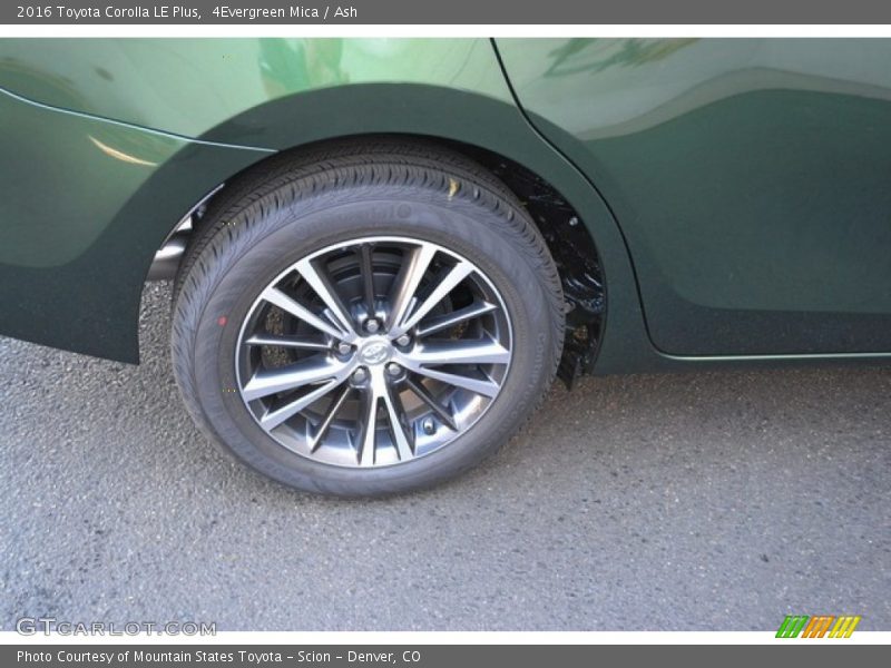 4Evergreen Mica / Ash 2016 Toyota Corolla LE Plus