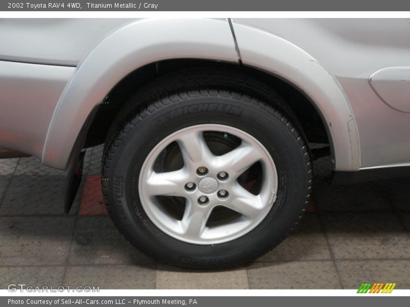 Titanium Metallic / Gray 2002 Toyota RAV4 4WD