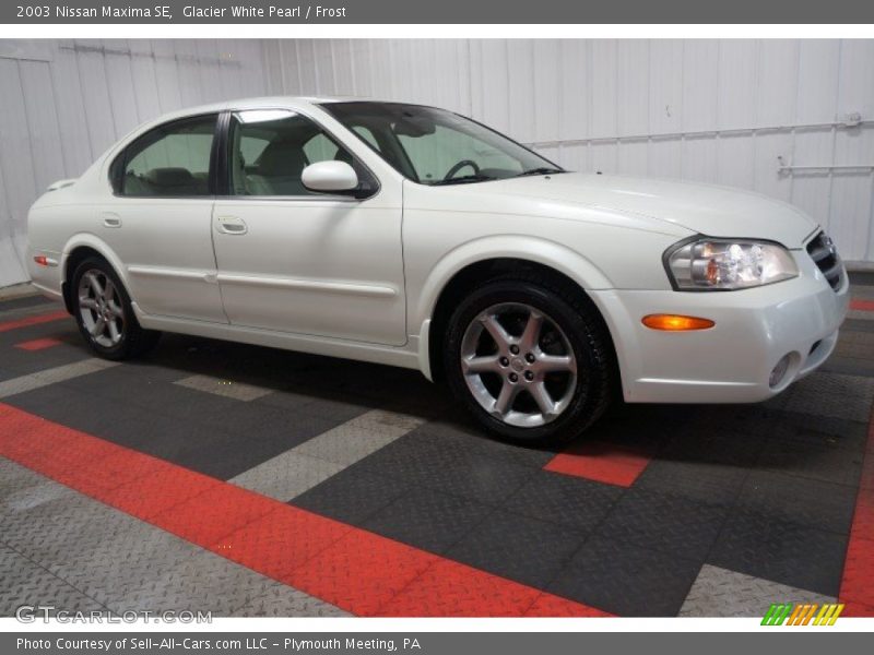 Glacier White Pearl / Frost 2003 Nissan Maxima SE