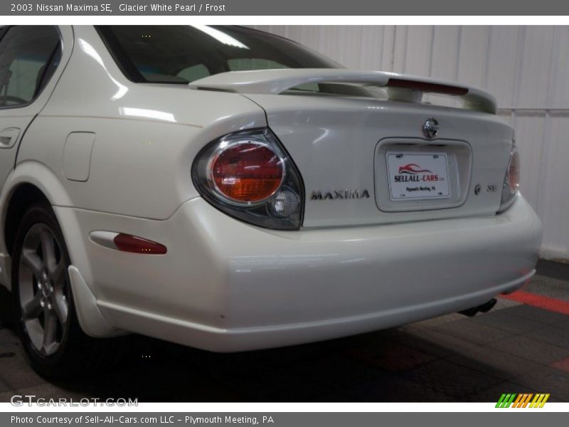Glacier White Pearl / Frost 2003 Nissan Maxima SE