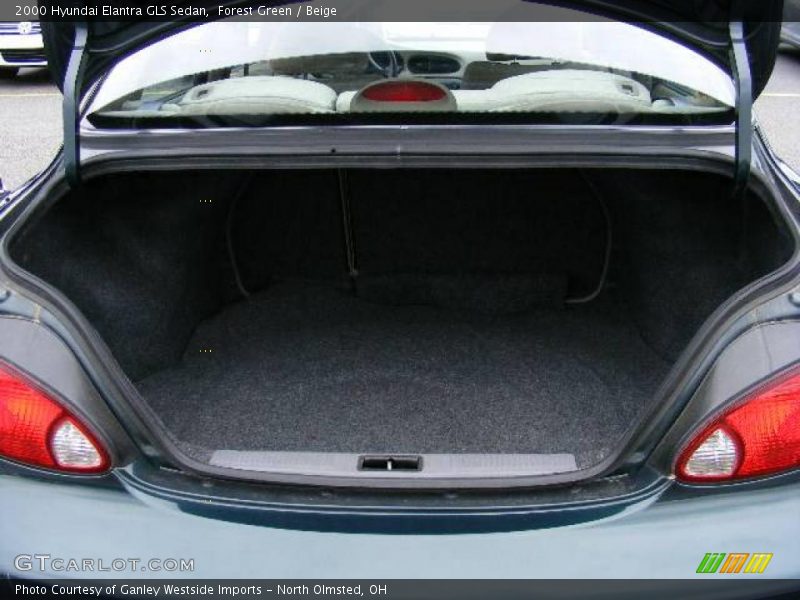 Forest Green / Beige 2000 Hyundai Elantra GLS Sedan