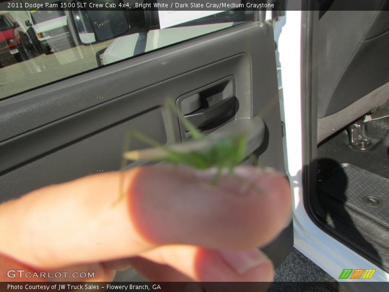Bright White / Dark Slate Gray/Medium Graystone 2011 Dodge Ram 1500 SLT Crew Cab 4x4