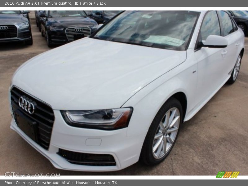 Ibis White / Black 2016 Audi A4 2.0T Premium quattro