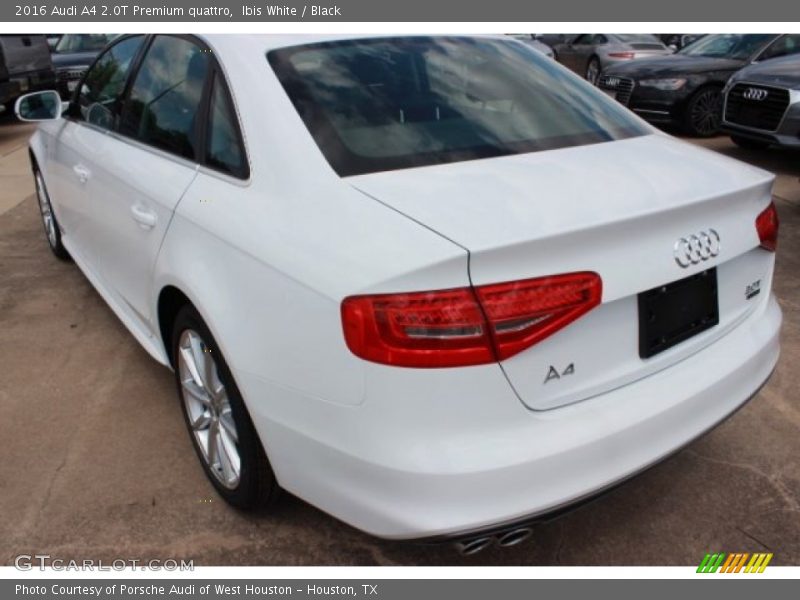 Ibis White / Black 2016 Audi A4 2.0T Premium quattro