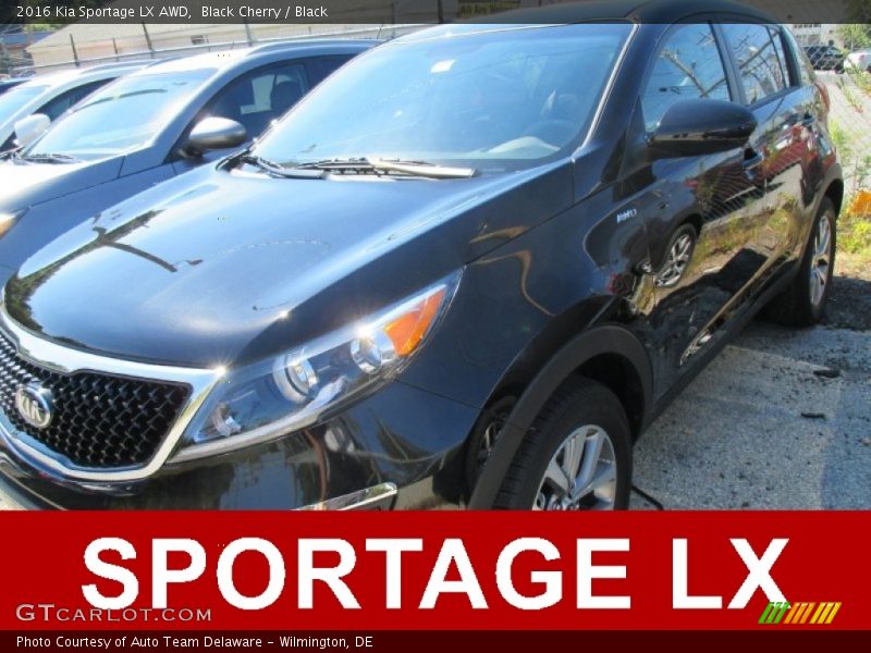 Black Cherry / Black 2016 Kia Sportage LX AWD