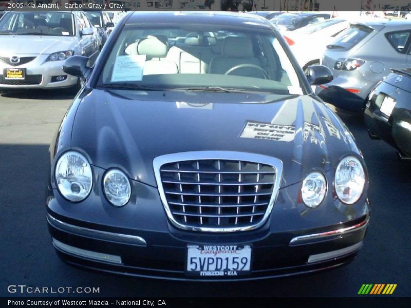 Carbon Gray / Gray 2005 Kia Amanti