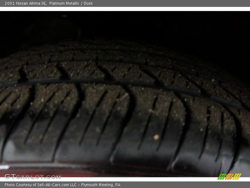 Platinum Metallic / Dusk 2001 Nissan Altima SE