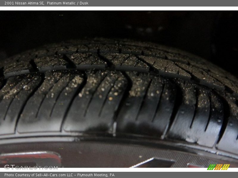 Platinum Metallic / Dusk 2001 Nissan Altima SE