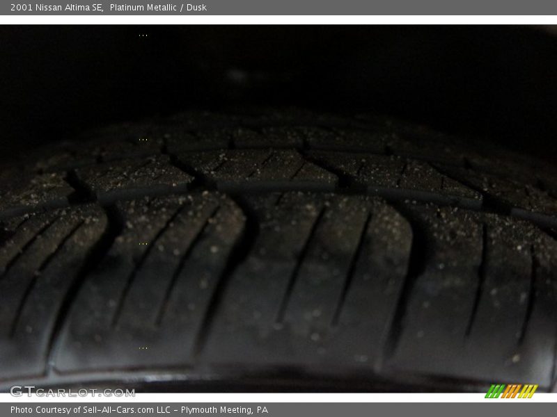 Platinum Metallic / Dusk 2001 Nissan Altima SE