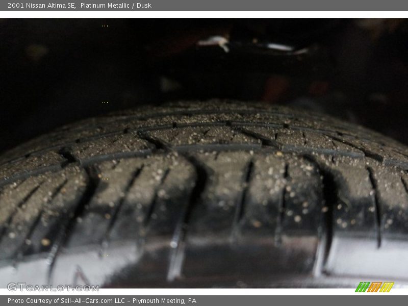 Platinum Metallic / Dusk 2001 Nissan Altima SE