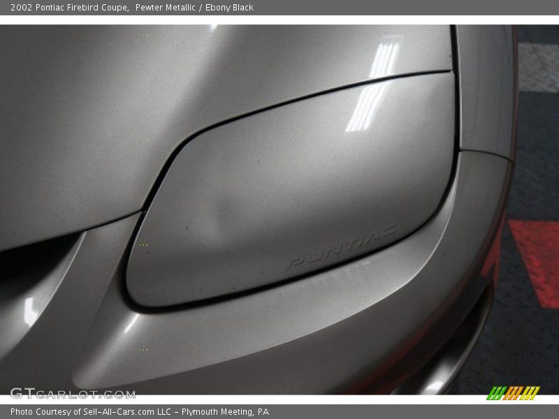 Pewter Metallic / Ebony Black 2002 Pontiac Firebird Coupe