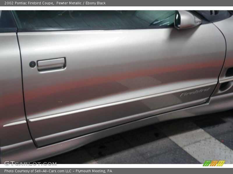 Pewter Metallic / Ebony Black 2002 Pontiac Firebird Coupe