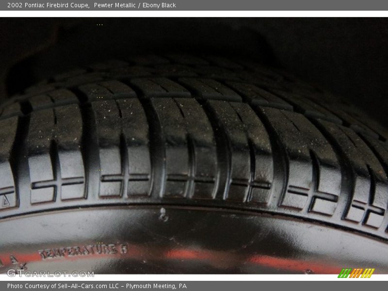 Pewter Metallic / Ebony Black 2002 Pontiac Firebird Coupe