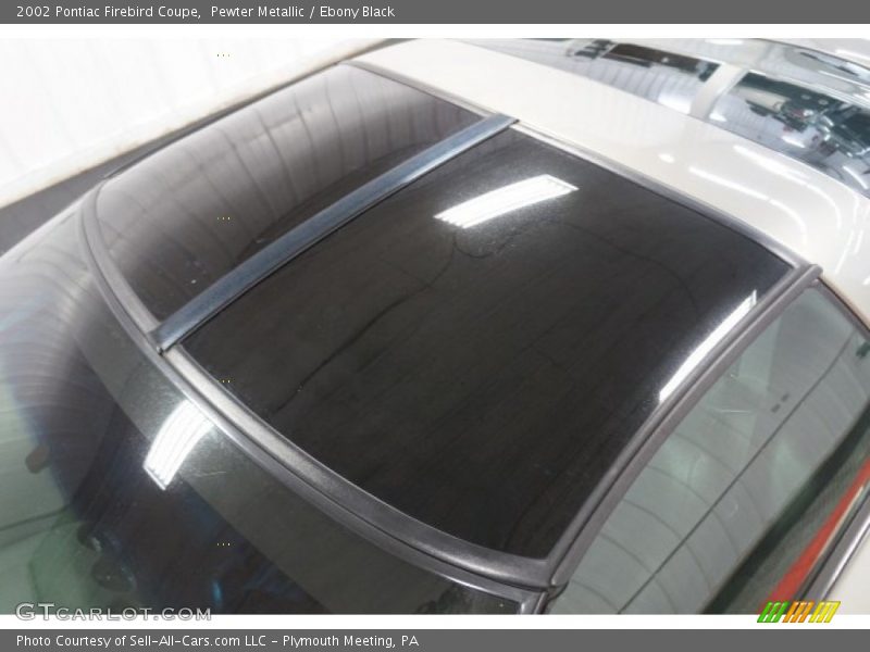 Pewter Metallic / Ebony Black 2002 Pontiac Firebird Coupe