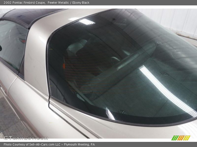 Pewter Metallic / Ebony Black 2002 Pontiac Firebird Coupe