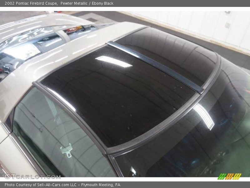 Pewter Metallic / Ebony Black 2002 Pontiac Firebird Coupe