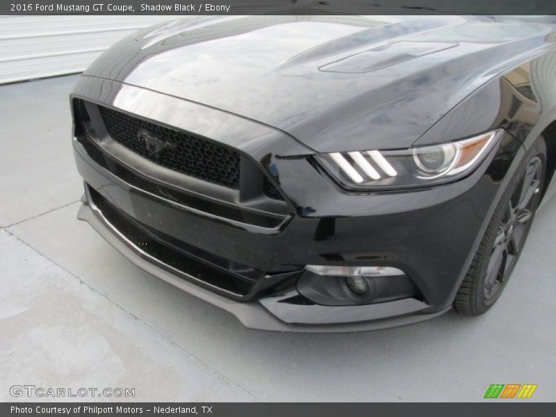Shadow Black / Ebony 2016 Ford Mustang GT Coupe