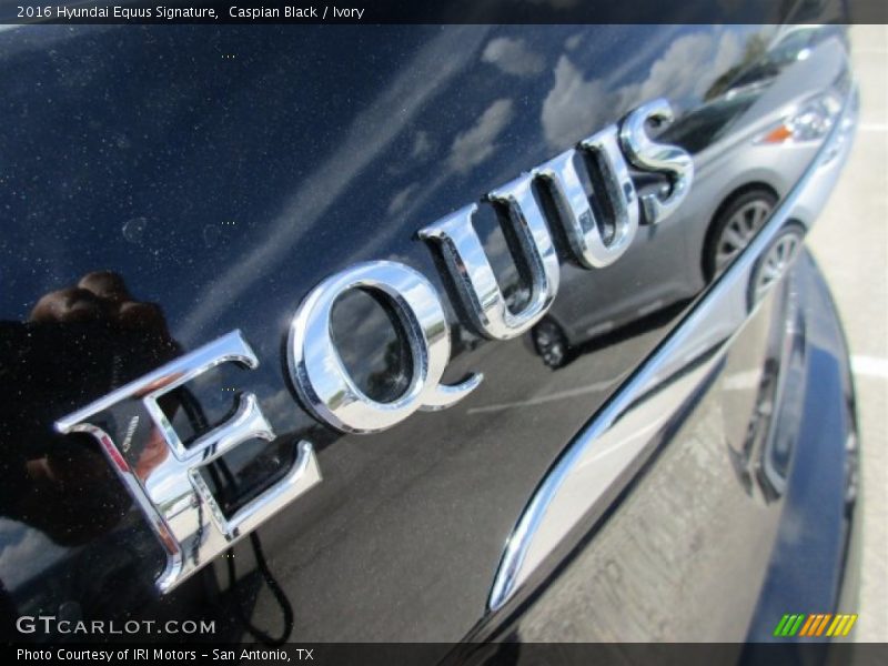 Caspian Black / Ivory 2016 Hyundai Equus Signature