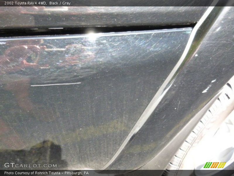 Black / Gray 2002 Toyota RAV4 4WD