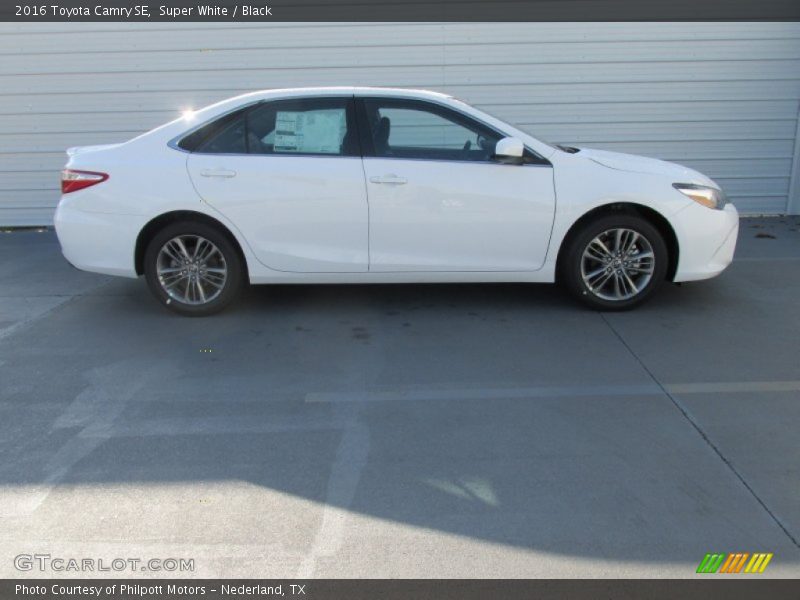 Super White / Black 2016 Toyota Camry SE
